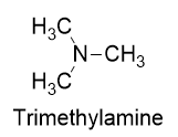 trimethylamine