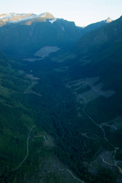 Large sections of trees are missing from mountain sides due to logging.