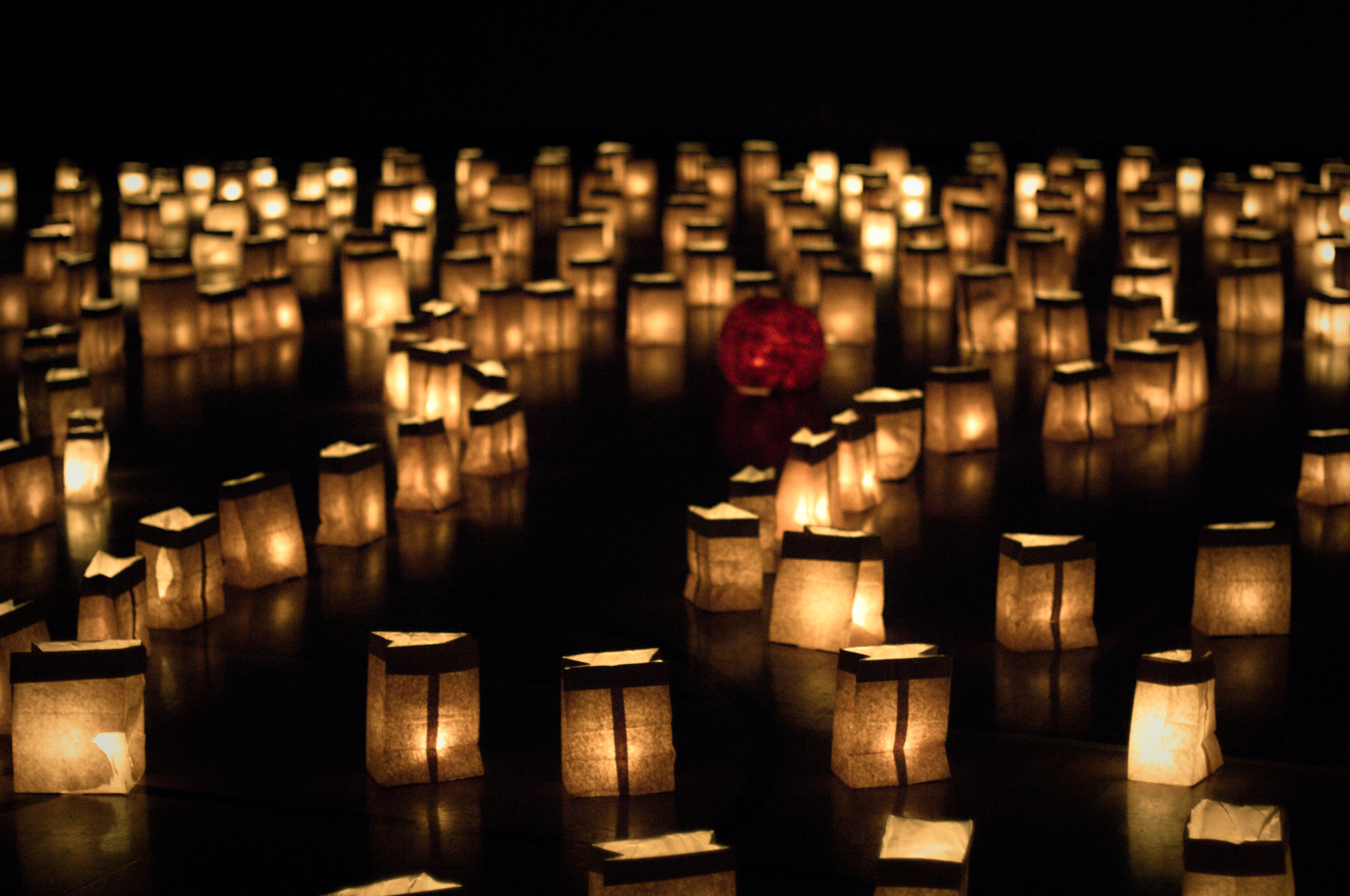 Dozens of small, square lanterns arranged in winding rows light up the darkness.