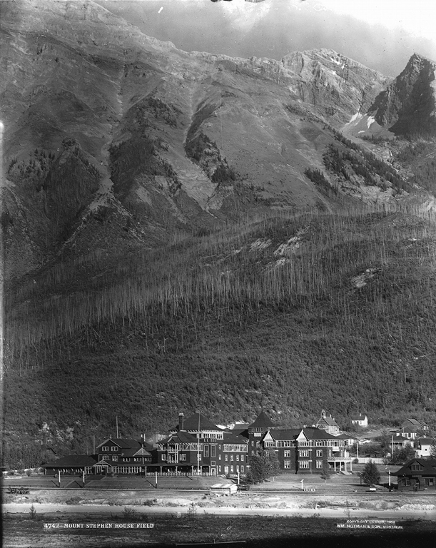 A hotel beside a railway at the foot of a mountain.