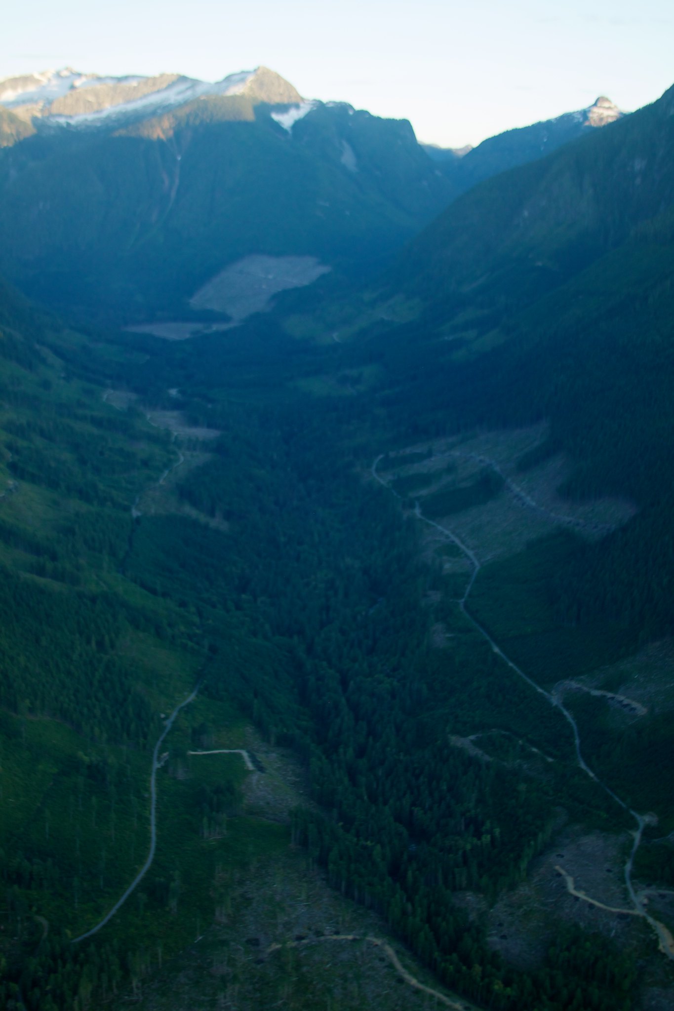 Aerial view of mountainsides that have large sections of trees missing due to logging.