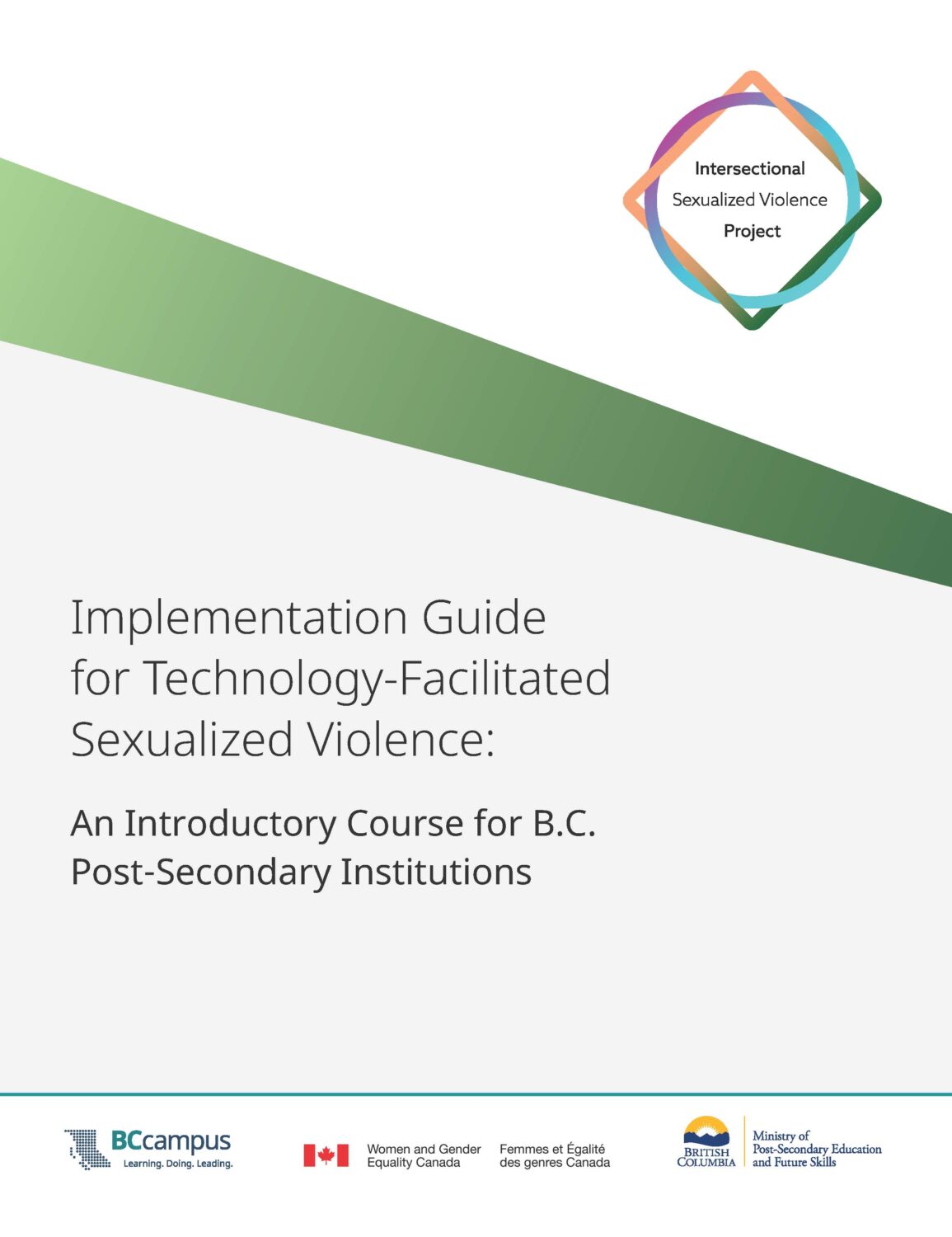 Cover image for Implementation Guide for Technology-Facilitated Sexualized Violence