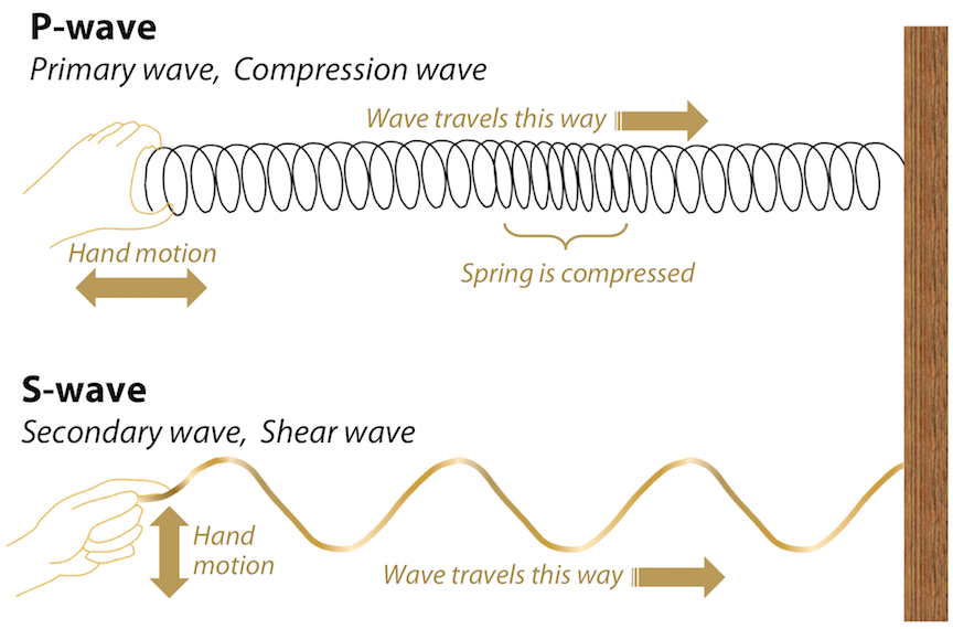 p waves s waves and movement