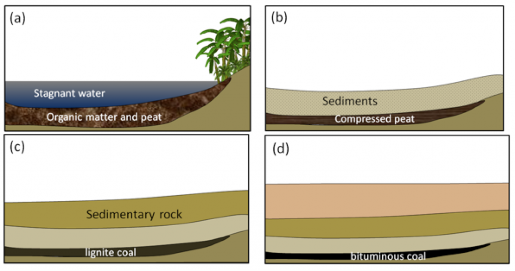 peat lignite bituminous anthracite