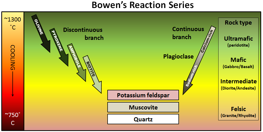 discontinuous branch: olivine to pyroxene to amphibole to biotite to potassium feldspar, muscovite, and quartz. Continuous series: Ca-rich plagioclase to Na-rich plagioclase