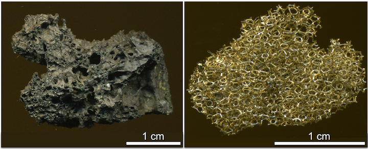 Mafic lapilli with vesicular textures. Left: Scoria from Mount Fuji, Japan. Scoria is the denser mafic counterpart to pumice. Right: Reticulite from Kīlauea Volcano. Reticulite is a delicate network of volcanic glass that forms when the walls separating gas bubbles pop. Sources: Left- James St. John (2014) CC BY 2.0 (scale added); Right- James St. John (2014) CC BY 4.0 (scale added)