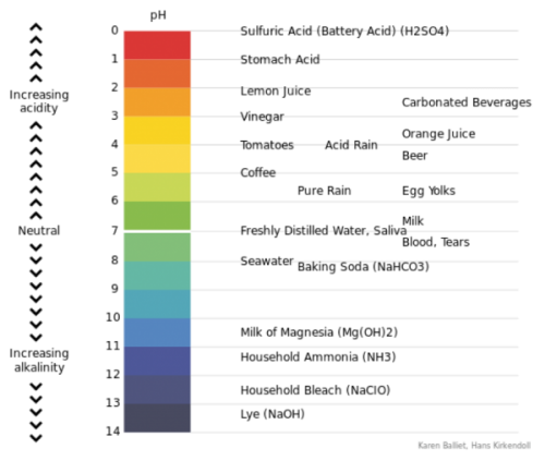 Chemical Changes Associated with Slaughter \u2013 Meat Cutting and ...