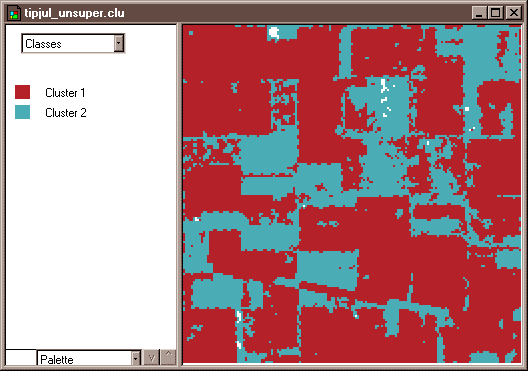 Screenshot showing two-class land cover map (unsupervised classification)