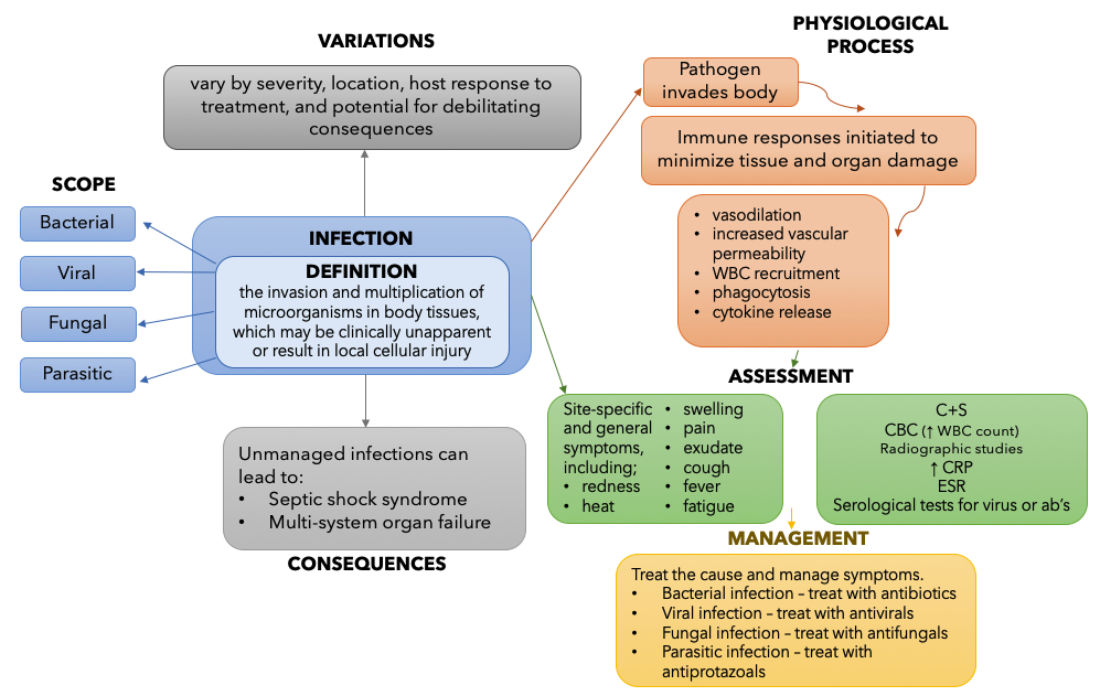 concept-map-infection-fundamentals-of-nursing-pharmacology-1st