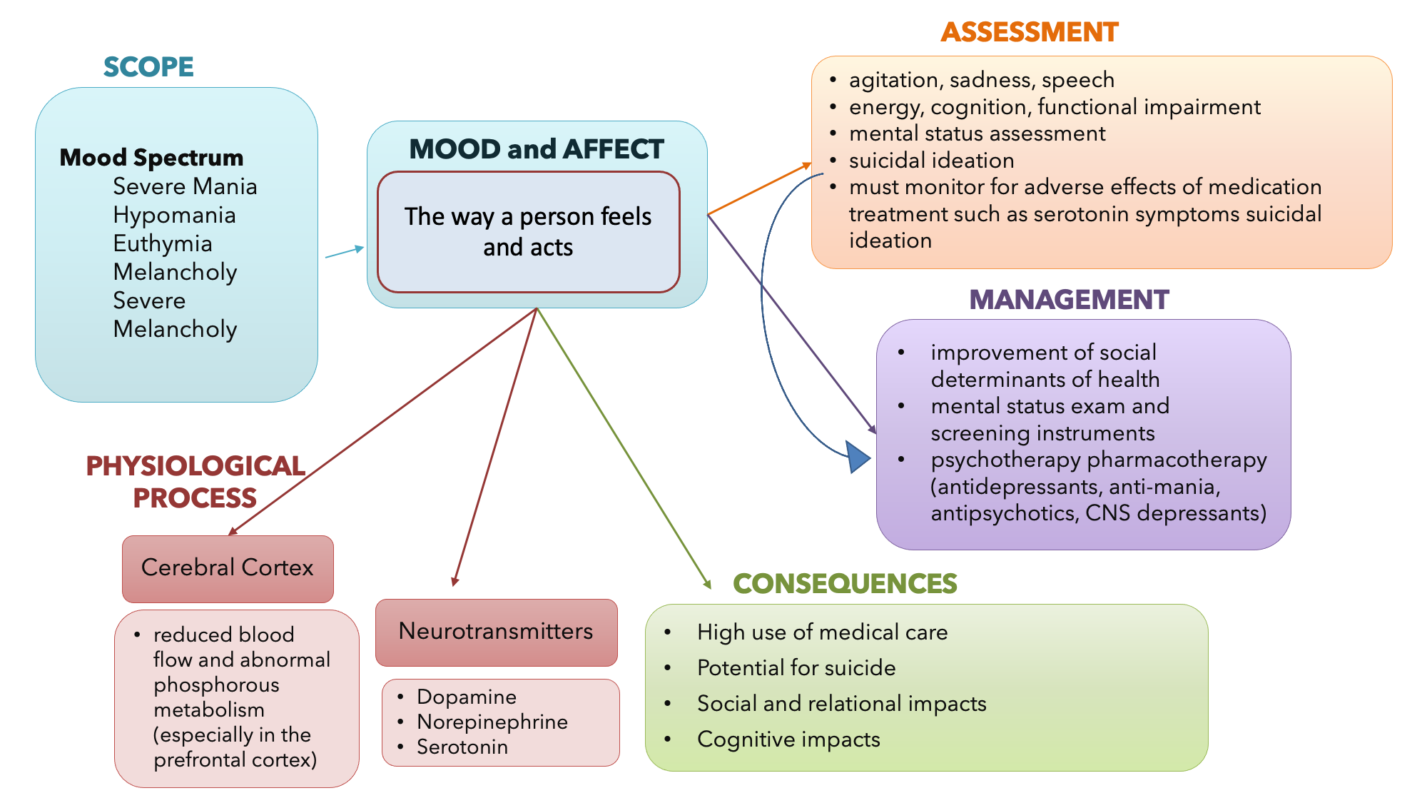 simple nervous system concept map