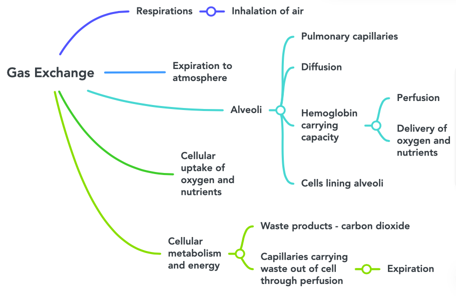 concept-map-gas-exchange-fundamentals-of-nursing-pharmacology-1st