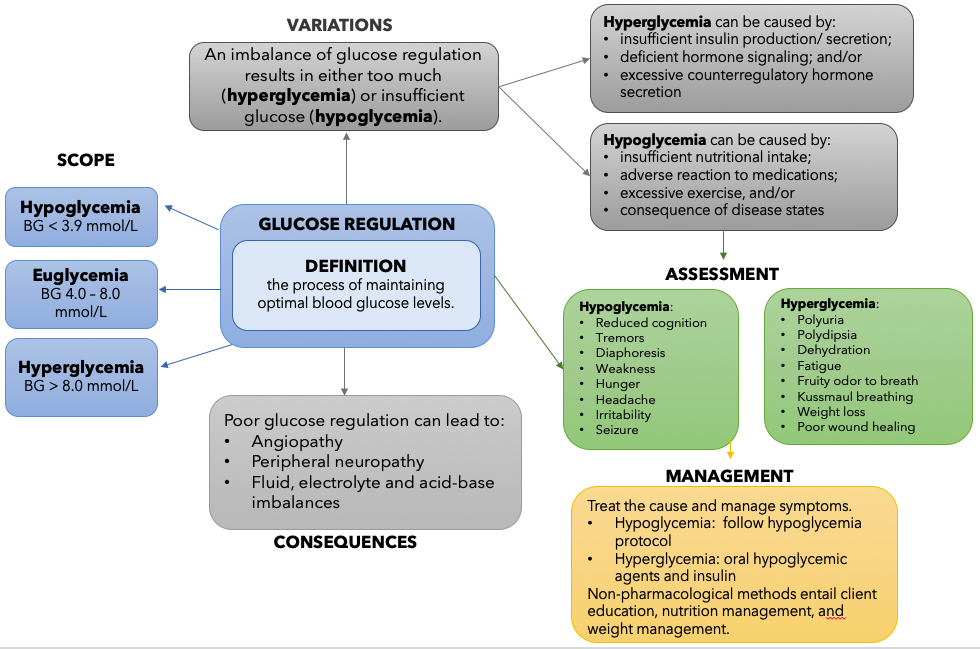 Glucose Regulation Concept Map