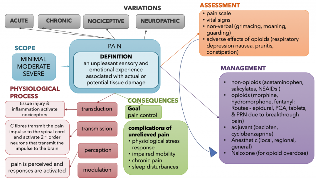 Concept Map: Pain – Fundamentals Of Nursing Pharmacology – 1st Canadian ...