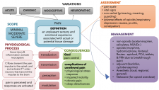 Concept Map: Pain – Fundamentals Of Nursing Pharmacology – 1st Canadian 