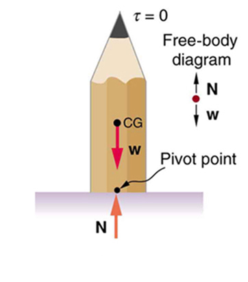 A pencil is balanced vertically on its flat end. The weight W of the pencil is acting at its center of gravity downward. The normal reaction N of the surface is shown as an arrow upward. A free body diagram is shown at right of the pencil. The midpoint of the flat base of the pencil is marked as pivot point.