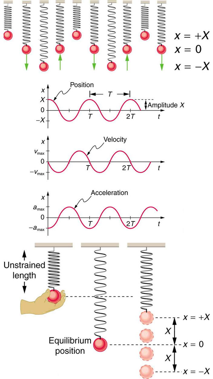 case study on simple harmonic motion