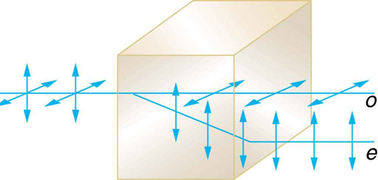 The schematic shows an unpolarized ray of light incident on a block of transparent material The ray is perpendicular to the face of the material. Upon entering the material, part of the ray continues straight on. This ray is horizontally polarized and is labeled o. Another part of the incident ray is deviated at an angle upon entering the material. This ray is vertically polarized and is labeled e.