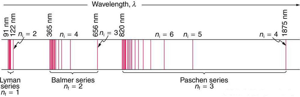 The figure shows three horizontal lines at small distances from each other. Between the two lower lines, the Lyman series, with four vertical red bands in compact form, is shown. The value of the constant n sub f is 1 and the wavelengths are ninety-one nanometers to one hundred nanometers. The Balmer series is shown to the right side of this series. The value of the constant n sub f is two, and the range of wavelengths is from three hundred sixty five to six hundred fifty six nanometers. At the right side of this, the Paschen series bands are shown. The value of the constant n sub f is three, and the range of the wavelengths is from eight hundred twenty nanometers to one thousand eight hundred and seventy five nanometers.