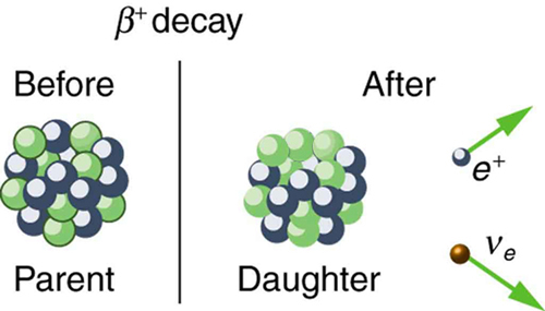 Image shows parent nucleus before beta plus decay and daughter nucleus after beta plus decay, which results in a positively charged electron called a positron.