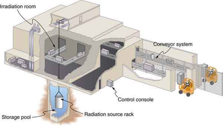 Figure shows a food irradiation plant with conveyor system that moves the food packages through the irradiation room. The radiation source rack is lowered into a deep storage pool of water.