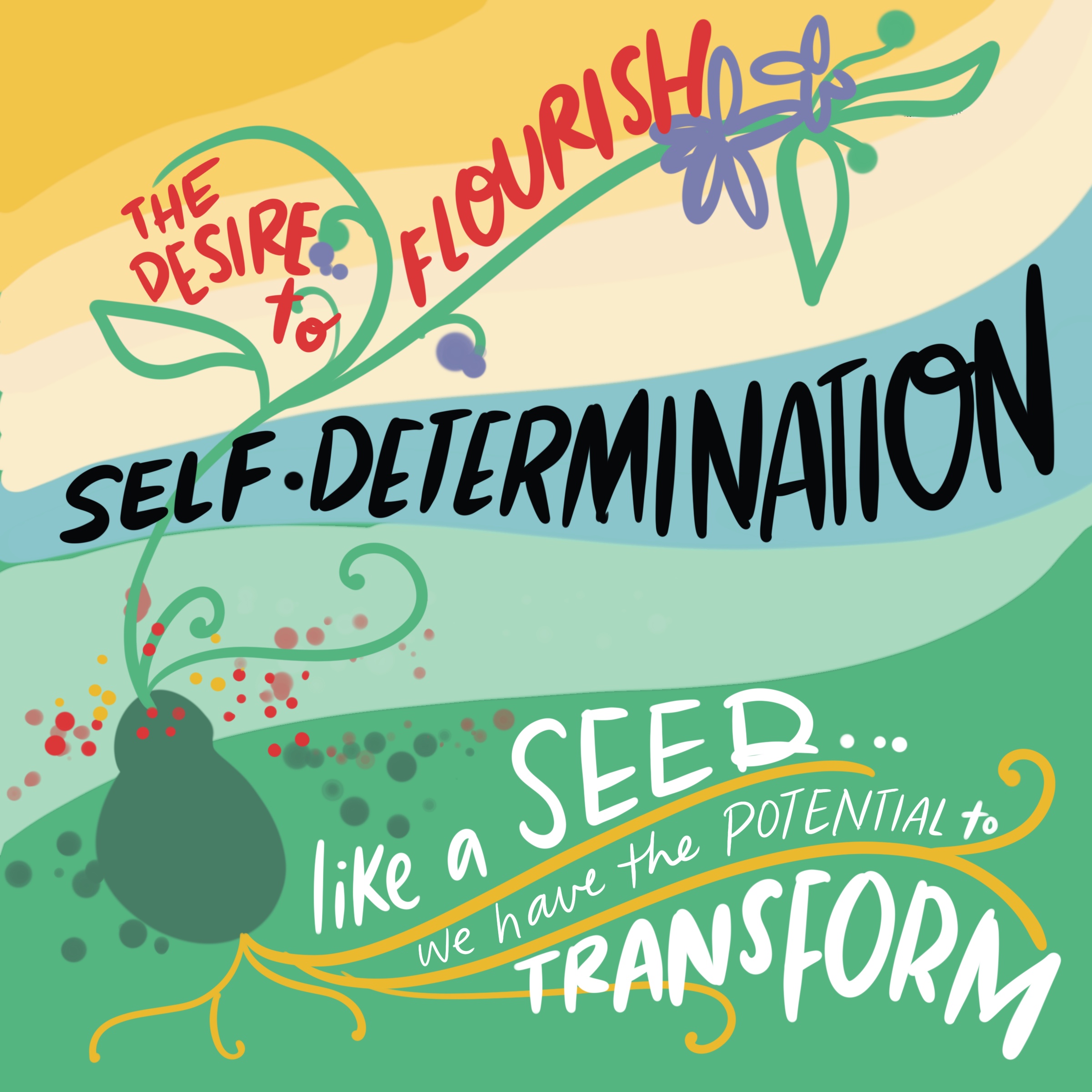 ecology-of-self-determination-post-secondary-peer-support-training