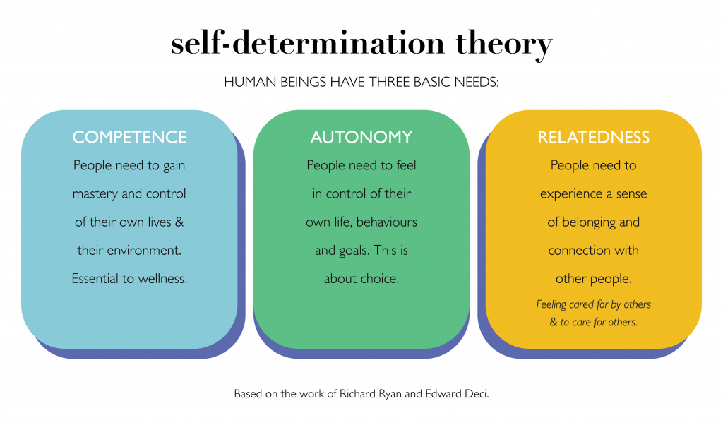 self determination theory presentation