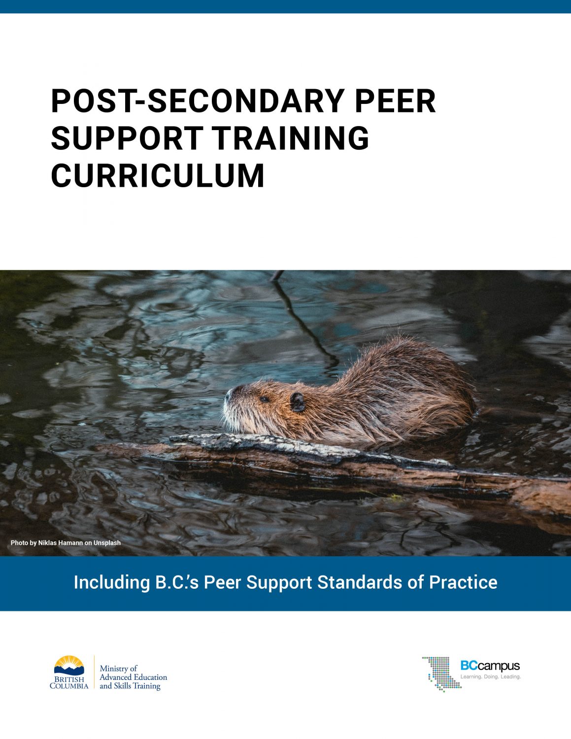 Cover image for Post-Secondary Peer Support Training Curriculum