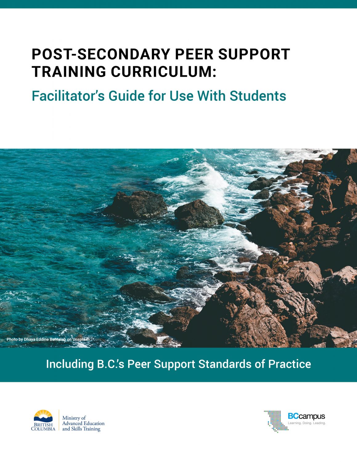 Cover image for Post-Secondary Peer Support Training Curriculum: Facilitator's Guide for Use With Students