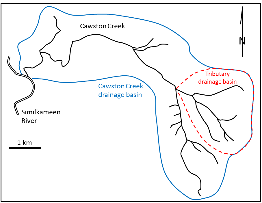 Figure 13.2.1 image description: Cawston Creek is a drainage basin made up of a number of small streams that flow into the Similkameen River. The Cawston Creek drainage basin also has a smaller tributary drainage basin that flows into it