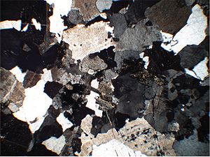 Magnified sandstone composed of patches that are black and different shades of grey.