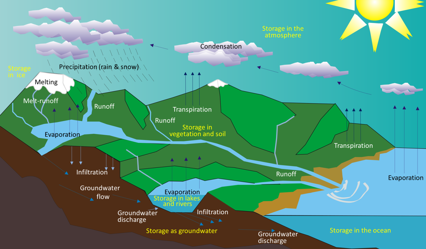 Figure describes the water cycle, showing the inputs of water by precipitation from precipitation, glaciers, rivers, and groundwater, as well as the outputs of the system from evaporation from the ocean, transpiration from plants, and sublimation from glaciers. 