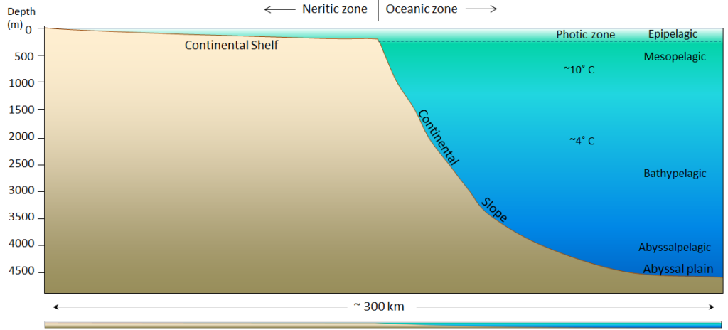 18.1 The Topography of the Sea Floor – Physical Geology – 2nd Edition