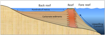 6.2 Chemical Sedimentary Rocks – Physical Geology – 2nd Edition