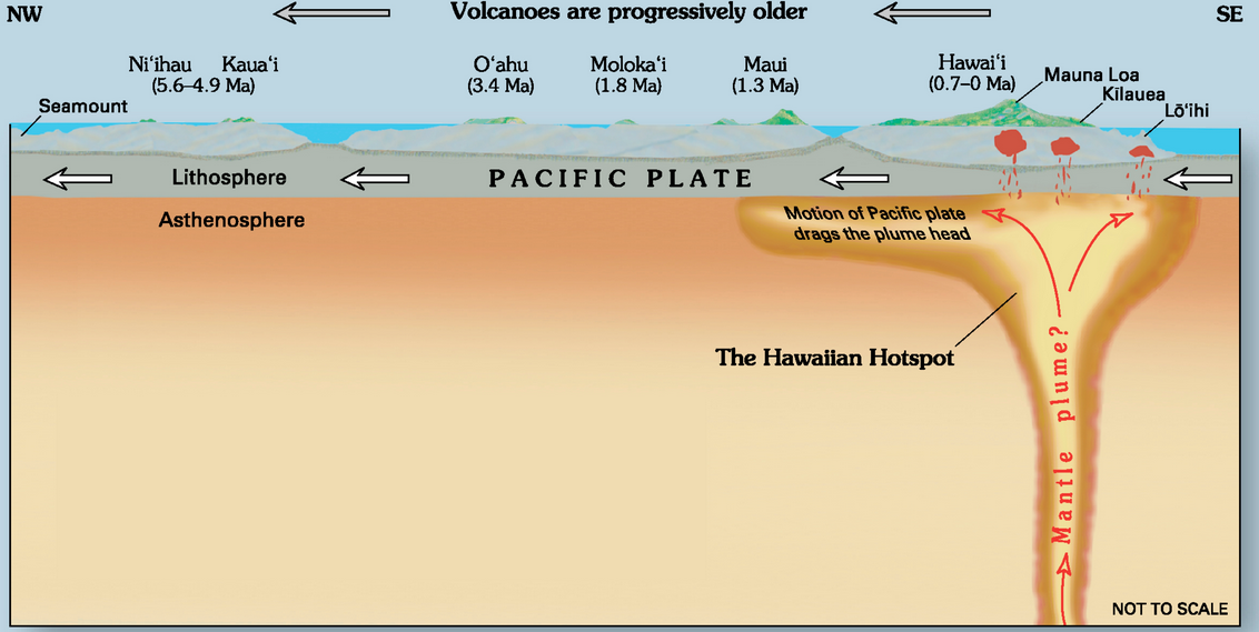 mauna loa shield volcano diagram