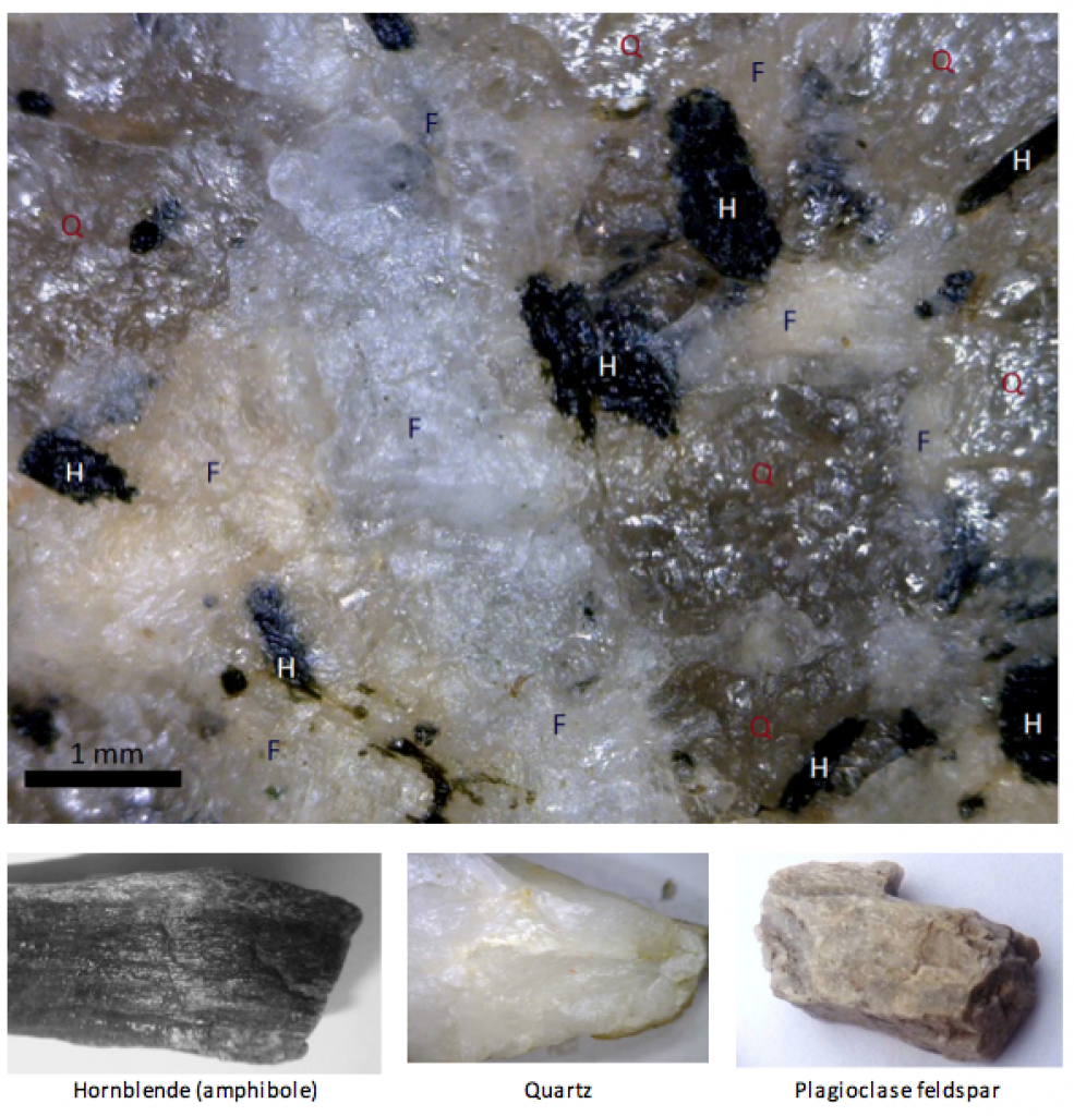 Hornblende is black, quartz is white and shiny, and feldspar is white-ish or grey
