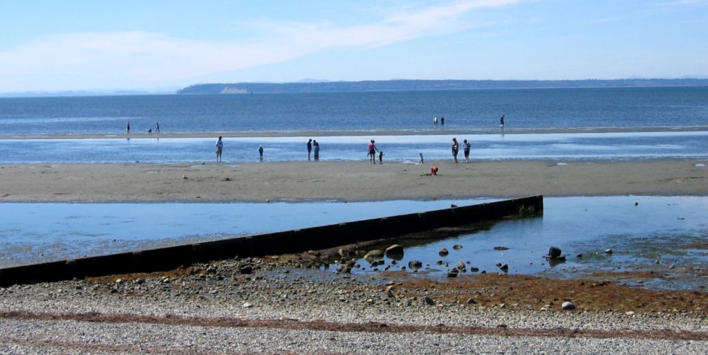 17-5-human-interference-with-shorelines-physical-geology-2nd-edition