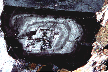 A rectangular crystal of feldspar viewed in a microscope. It is concentrically zoned from black around the outside to light grey in the centre.