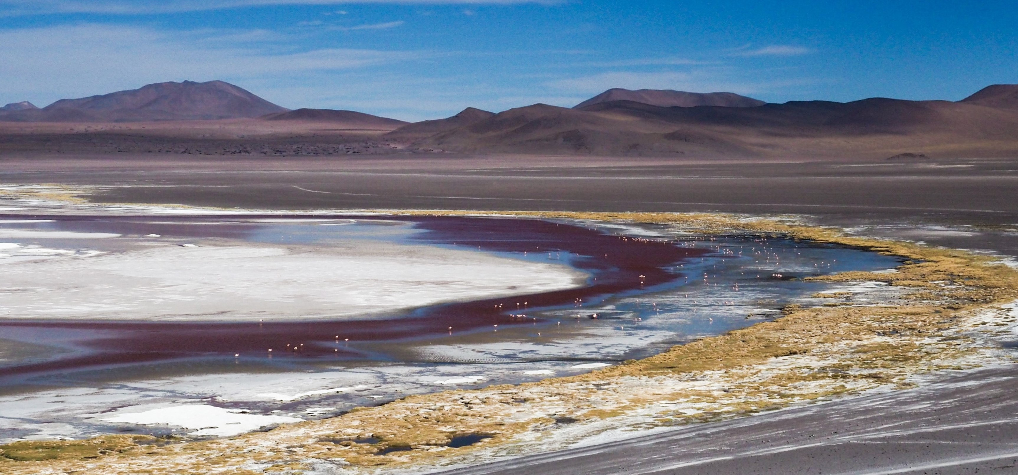 A lake with a large amount of salt deposits