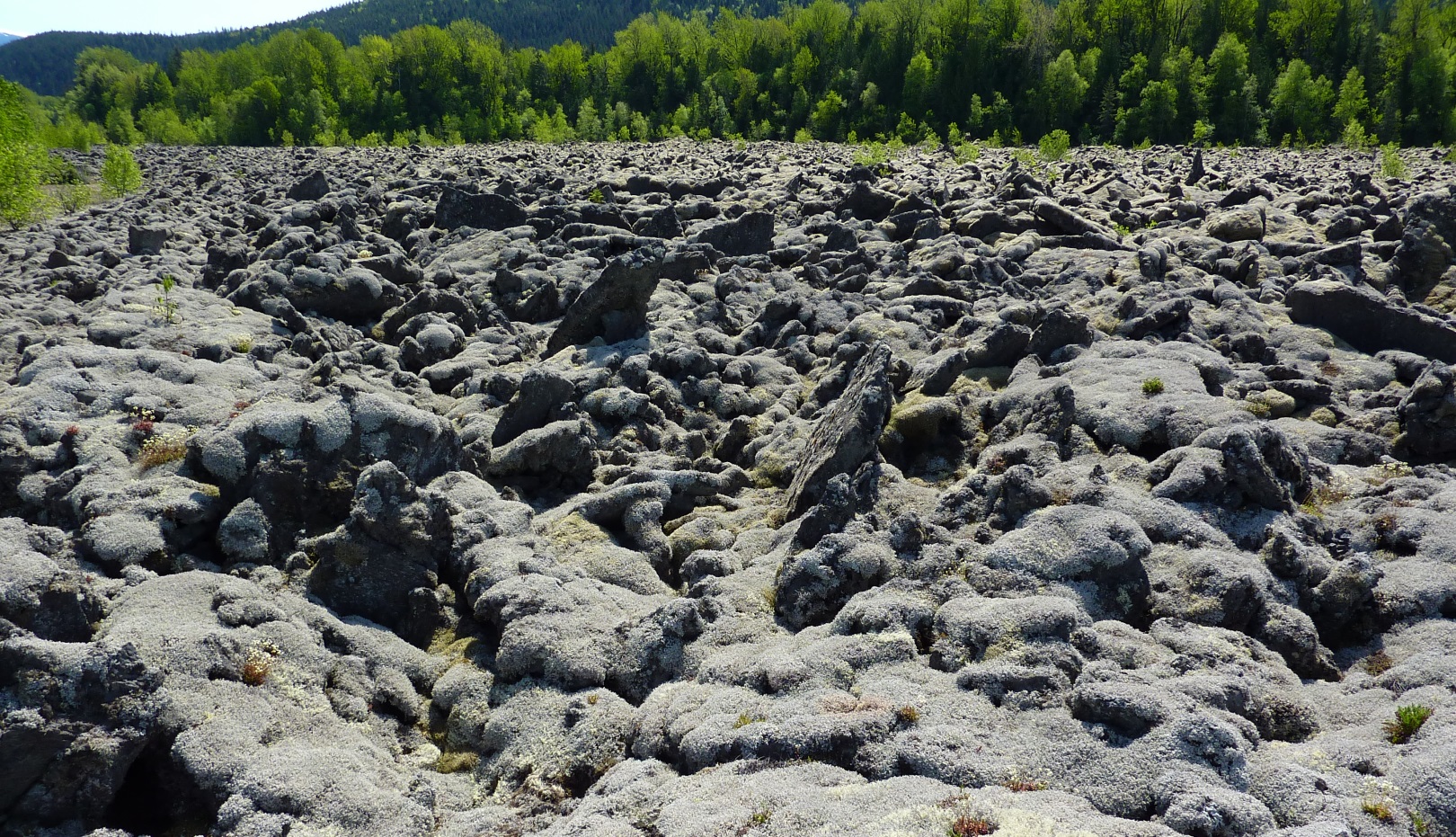 A field of grey rocks molded together to form large, uneven bumps