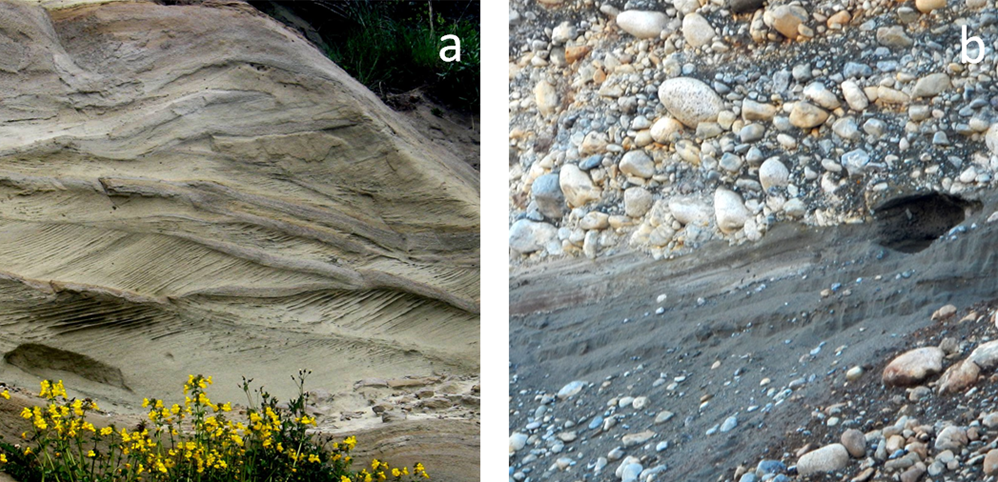 Types Of Sediment Ooze