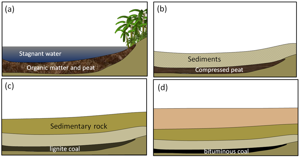  Fossil Fuels – Physical Geology
