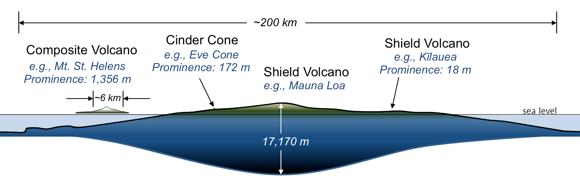 Comparison of volcano sizes and shapes. Broad, rounded shield volcanoes are the largest, followed by cone-shaped composite volcanoes. Straight-sided cinder cones are the smallest.