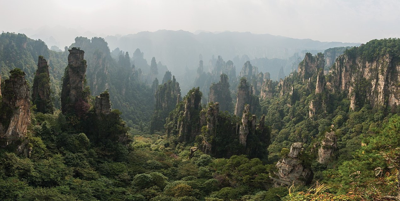 A panoramic view of stone pillars in a misty forest.