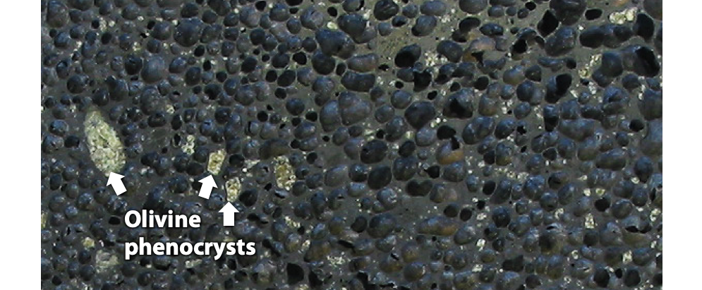 A black rock that's full of holes. There are pale green crystals scattered in it. A label saying &quot;olivine phenocrysts&quot; points to the crystals.