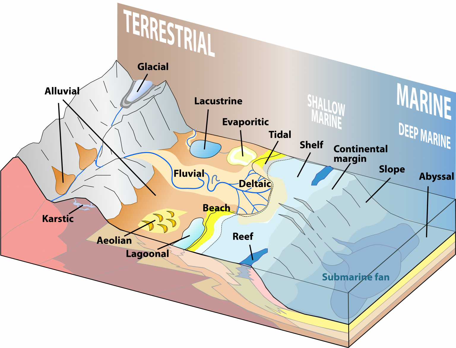 9.4 Depositional Environments and Sedimentary Basins Physical Geology
