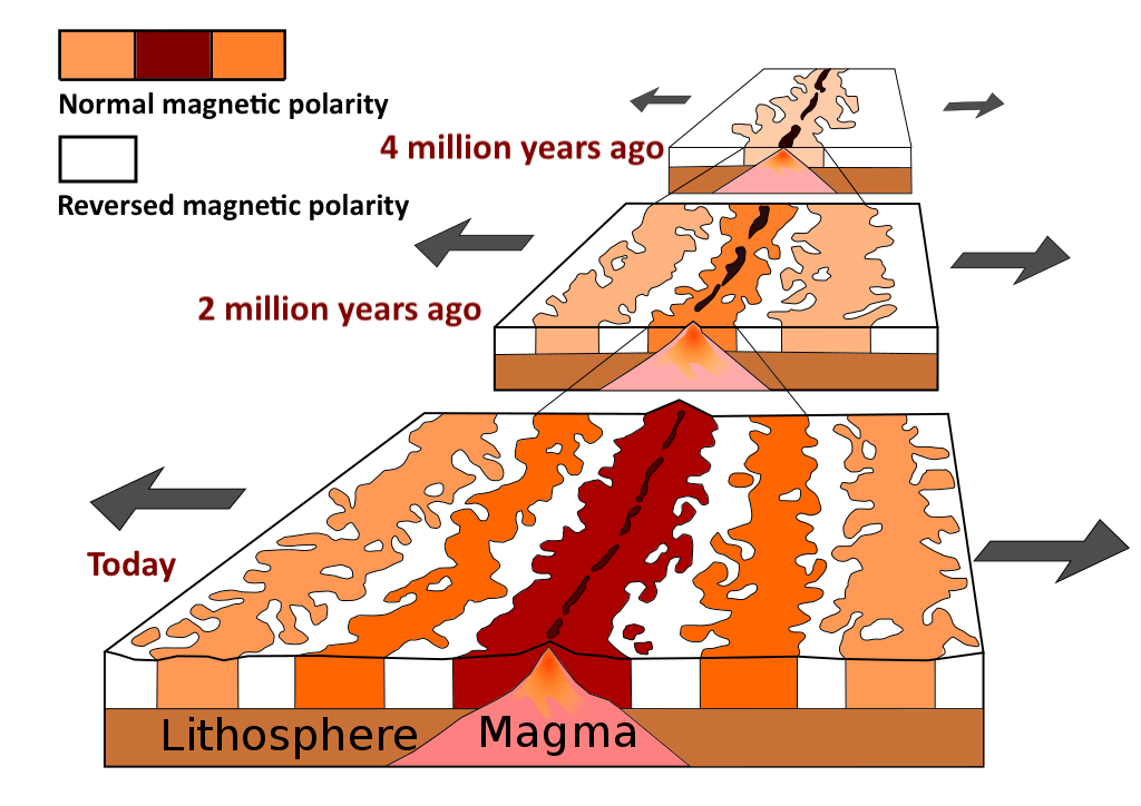 A diagram of the ocean floor showing symmetrical stripes on either side of progressively widening lithosphere.