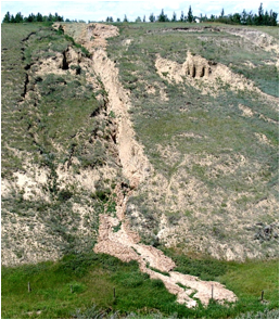 Figure 15.16 A slump (left) and an associated mudflow (centre) at the same location as Figure 15.15, near Lethbridge, Alberta. [SE 2005]