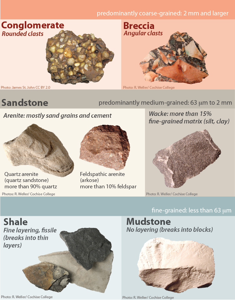 Predominantly coarse-grained (2 mm and larger)--Conglomerate: rounded clasts. Breccia: Angular clasts. Predominantly medium-grained (63 microns to 2 mm)--Sandstone: Arenite is mostly and grains and cement. It can be quartz or feldspar arenite depending on the grains. Wacke is more than 15% fine-grained material. Fine-grained (less than 63 microns)--Shale has fine layering and is fissile. Mudstone has no layering and breaks into blocks.