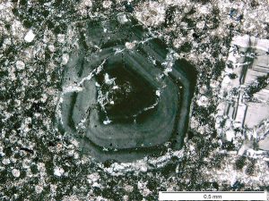 7.2 Crystallization Of Magma – Physical Geology – H5P Edition