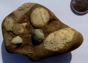 19.4 Isotopic Dating Methods – Physical Geology – H5P Edition